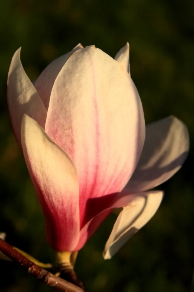 2011 04 21 IMG 28151e